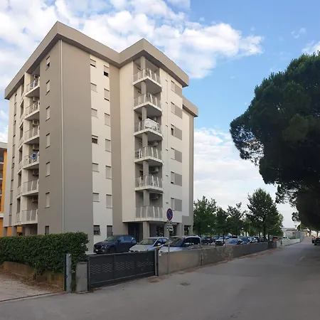 Lion Bibione