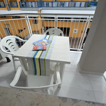 Lion Apartment